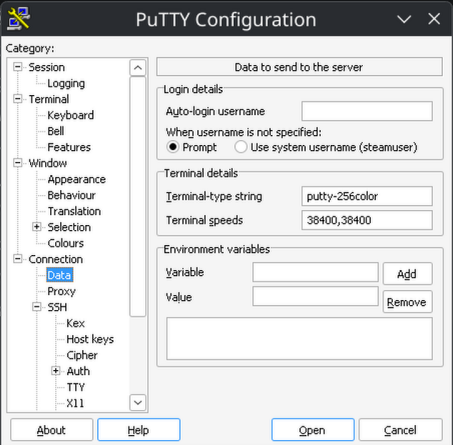 In putty, TERM should be set to putty-256color